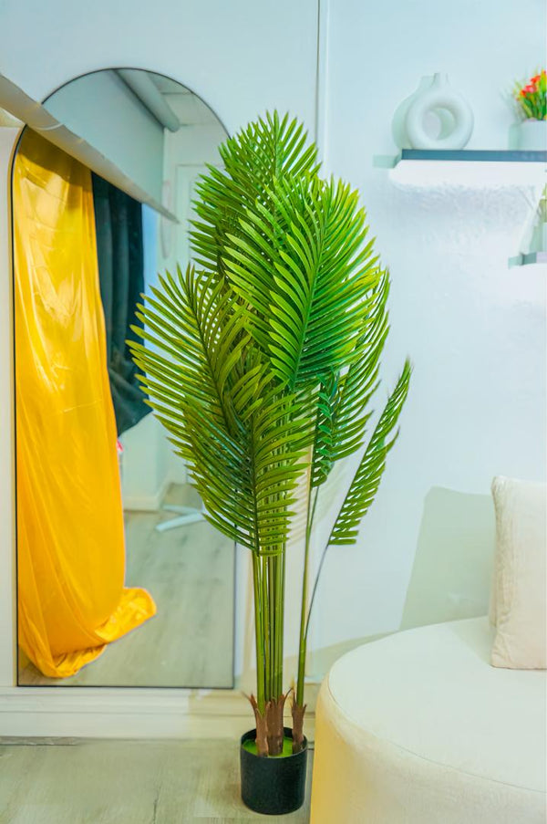 Palm Tree